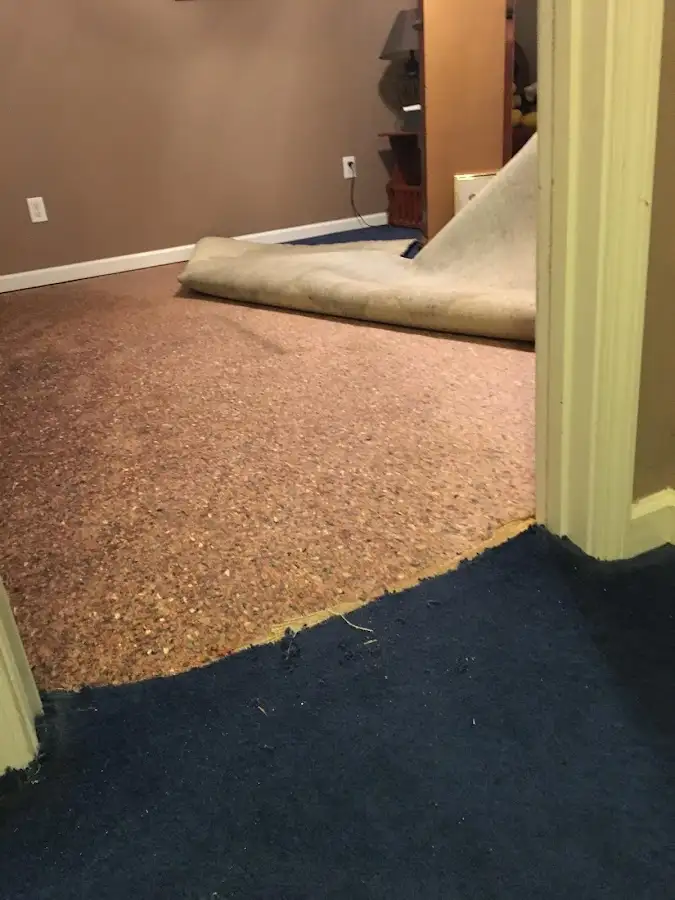 Carpet pad removal revealing water damage during Water Mitigation Services in Hidalgo
