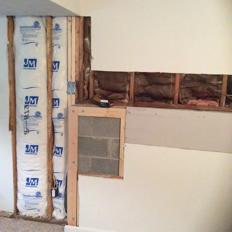 Wall insulation replacement during Basement Flood Cleanup in Hidalgo